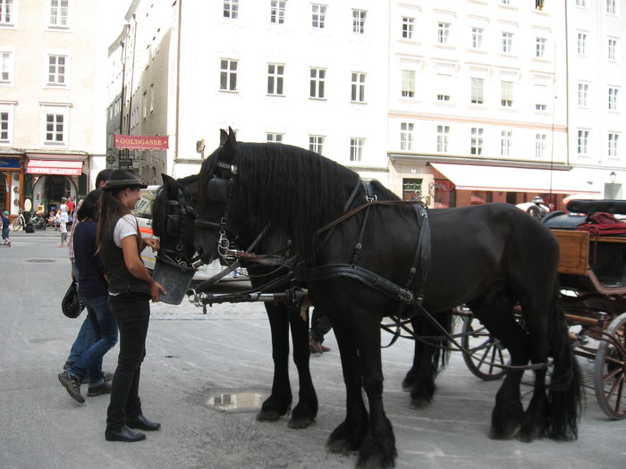 IMG_4596 - Concediu Salzburg 2014