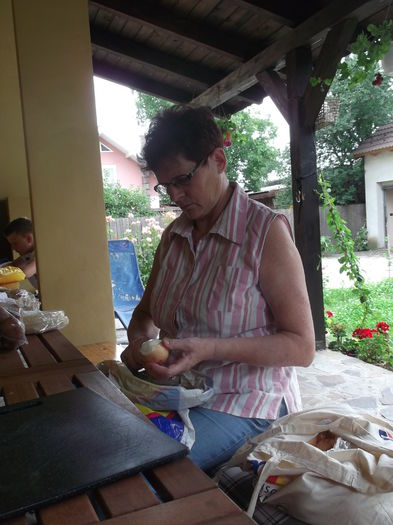 ASA A INCEPUT TOTUL - FERMA ANDRE  SI  NIK PUIUT