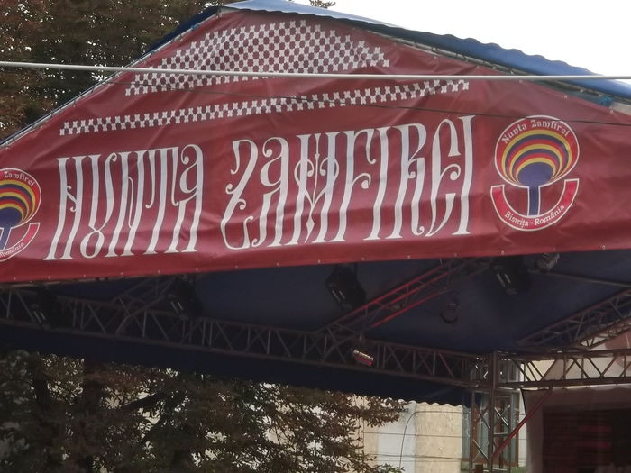 Picture 3173 - NUNTA ZAMFIREI