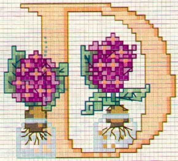 ABC-FLORAL (3)