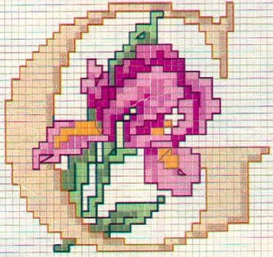 ABC-FLORAL (6)
