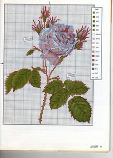 flor45