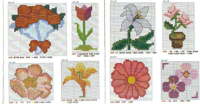 flores 6