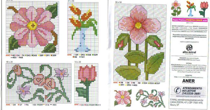 flores 8