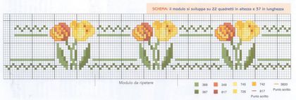 flores tulipas