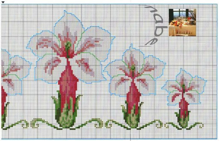 orquideas 1