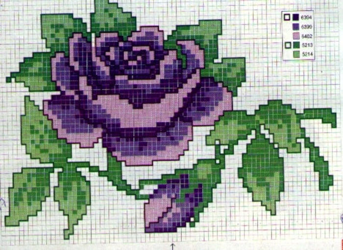 rosa lilaz