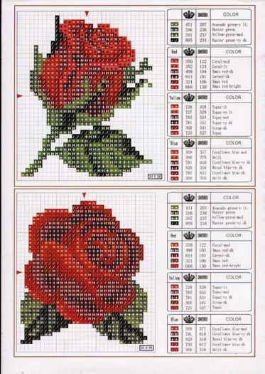 rosas  vermelhas