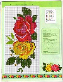 rosas coloridas