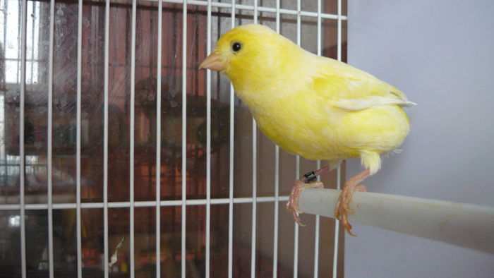 P1070177