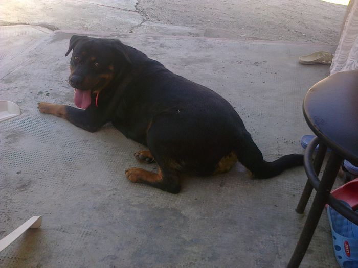 HERRA
