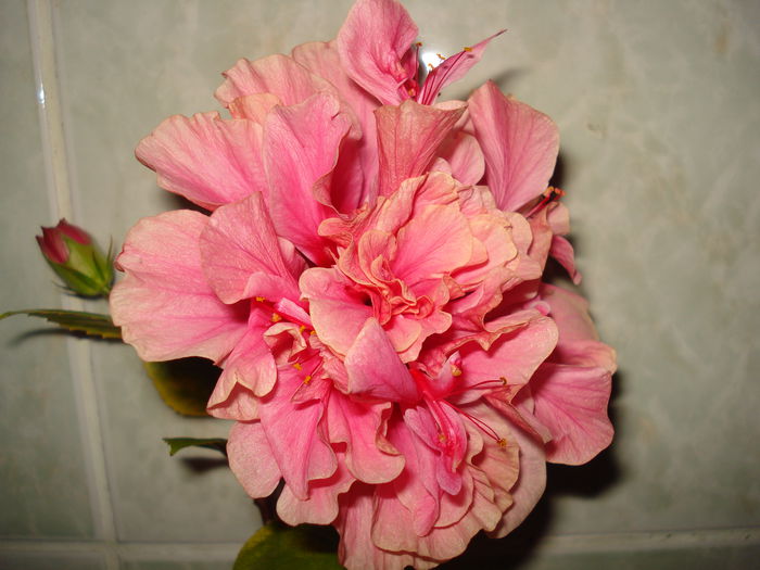 DSC09309