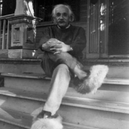 Albert Einstein; Albert Einstein 
