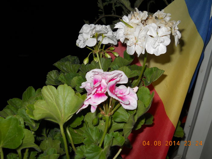 059 - AUGUST 2014