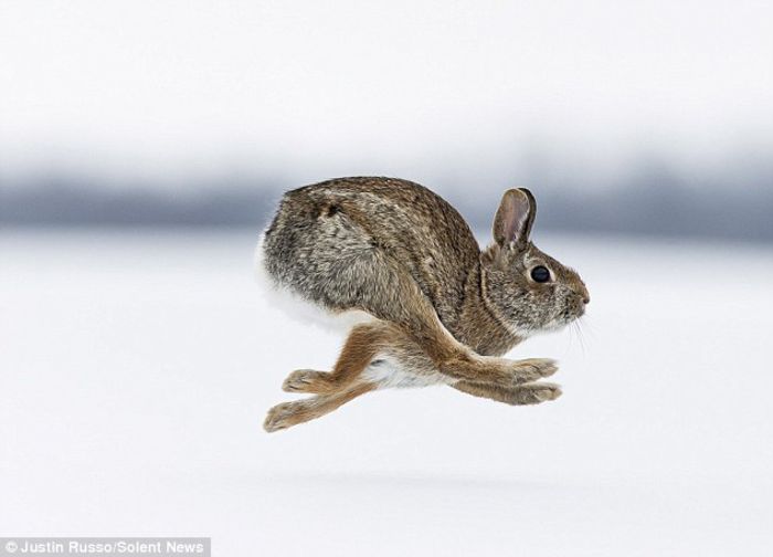  - Fotografii inedite-1