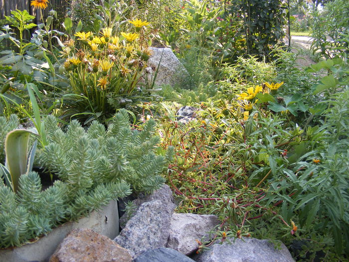 in stancarie... - Vara 2014-2017