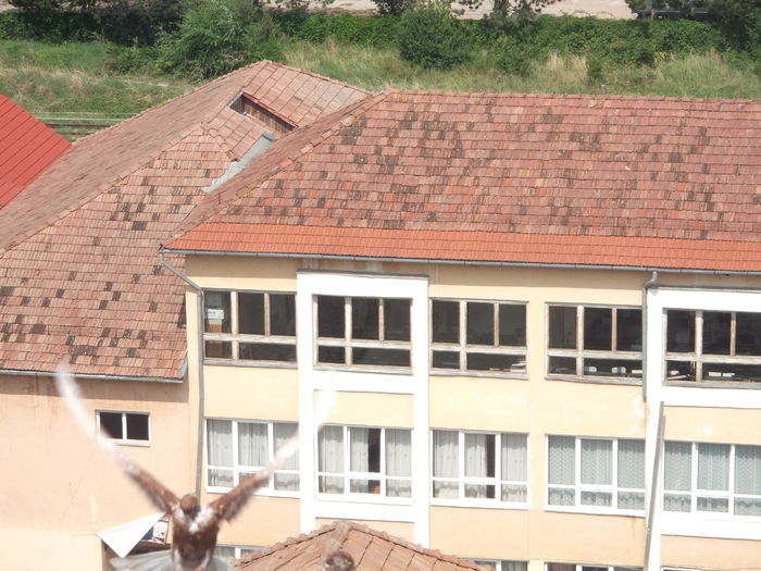 ATERIZARE FORTATA
