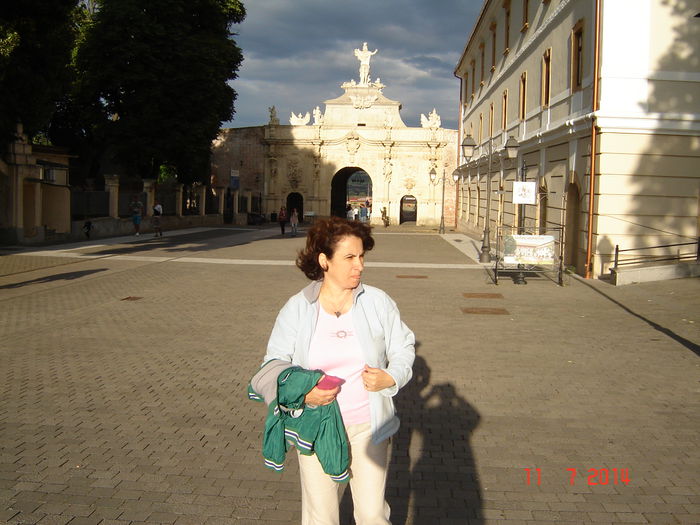 DSC00710 - CO CAMERA 2014