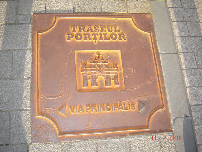 DSC00713 - CO CAMERA 2014