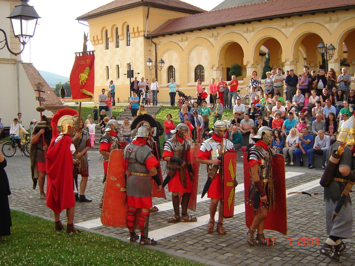 DSC00746