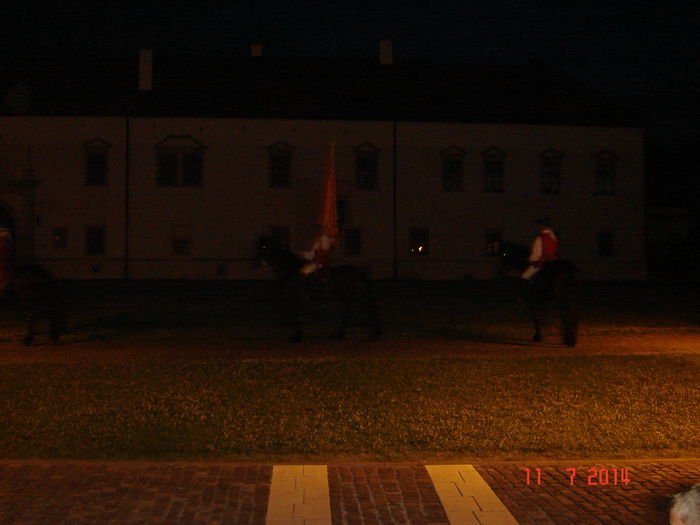 DSC00783