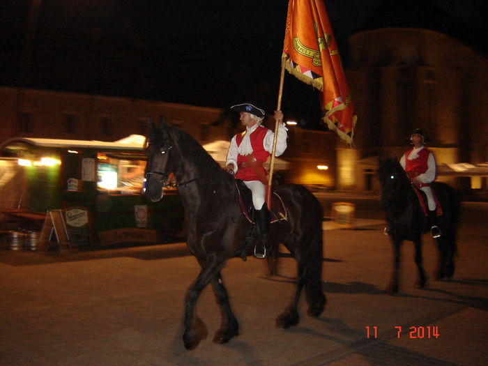 DSC00784