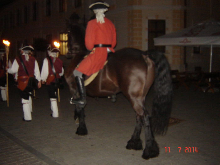 DSC00785