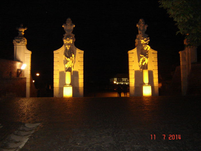 DSC00800