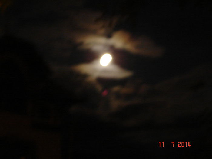 DSC00807