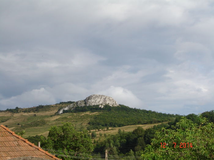 DSC00822