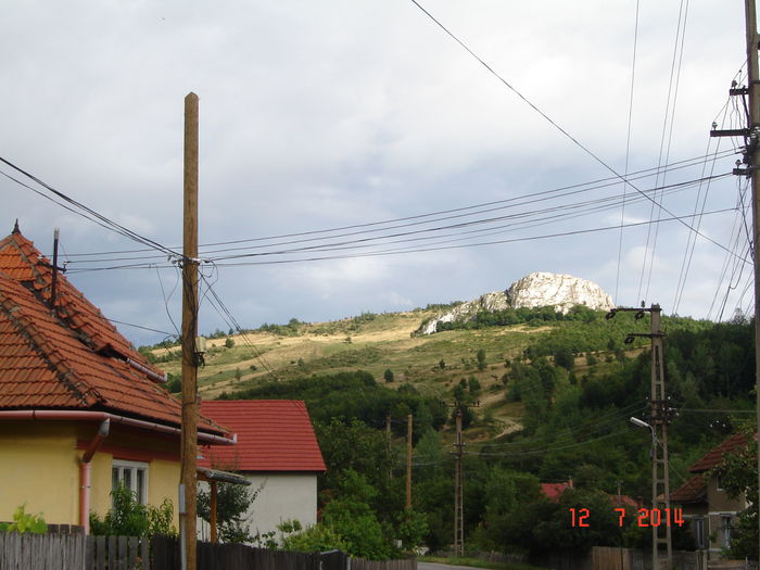 DSC00823