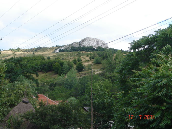 DSC00824