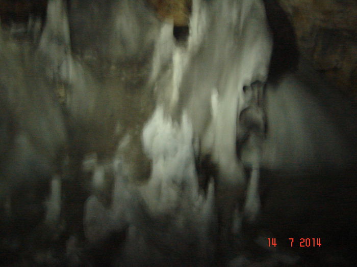 DSC00837