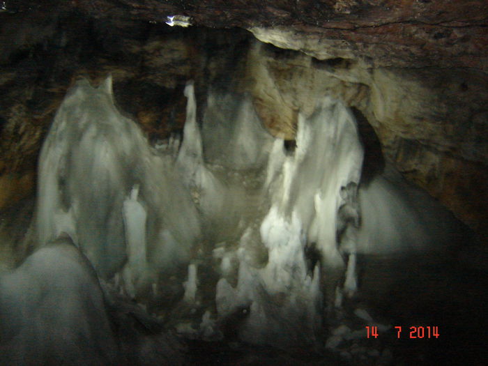 DSC00839