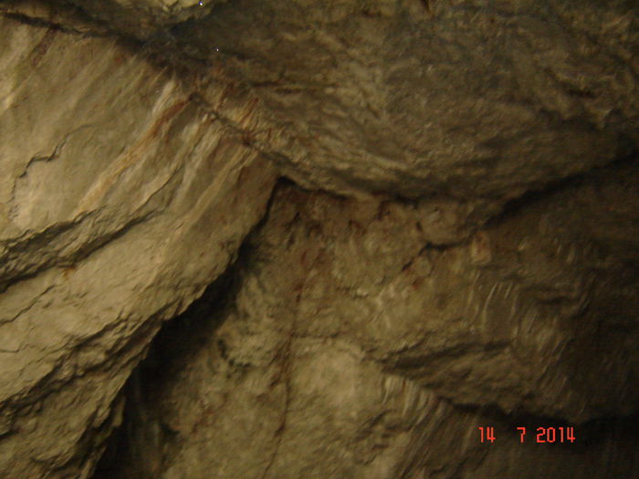 DSC00856