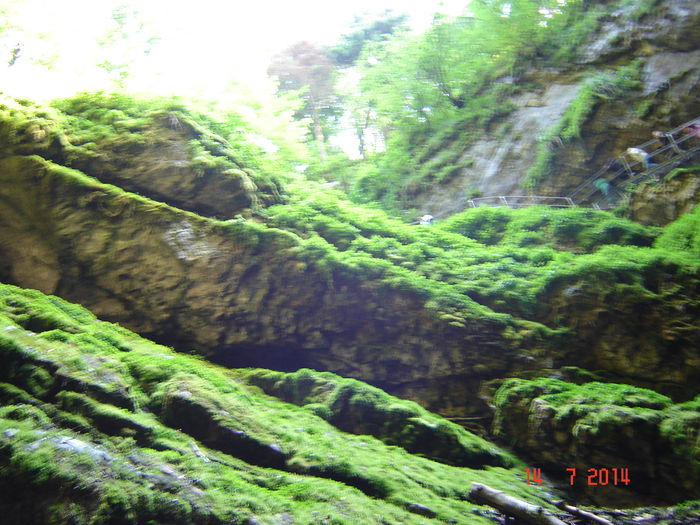 DSC00859