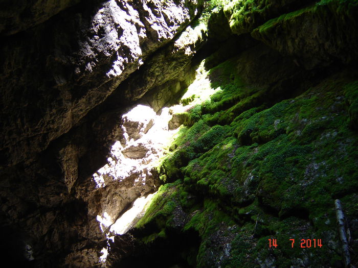 DSC00861