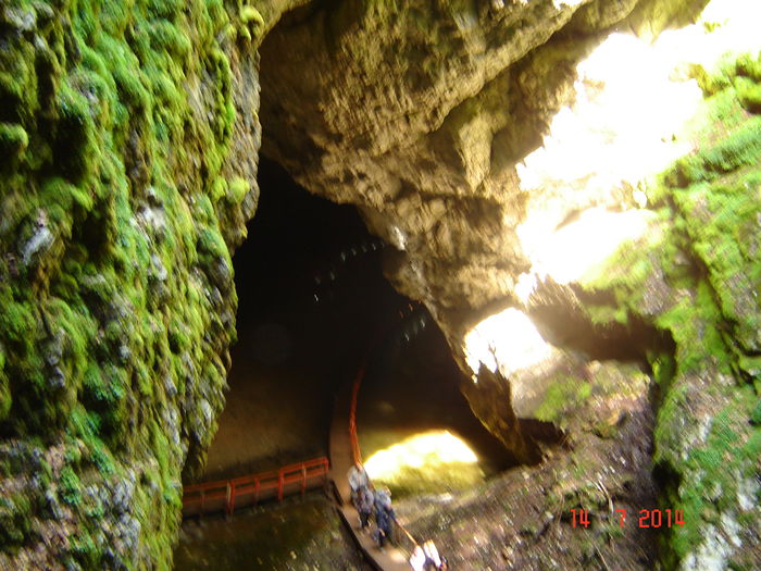 DSC00864