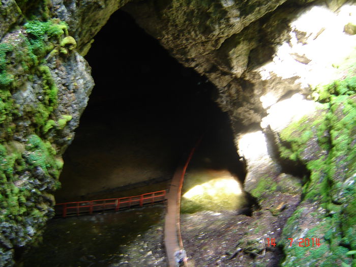 DSC00865