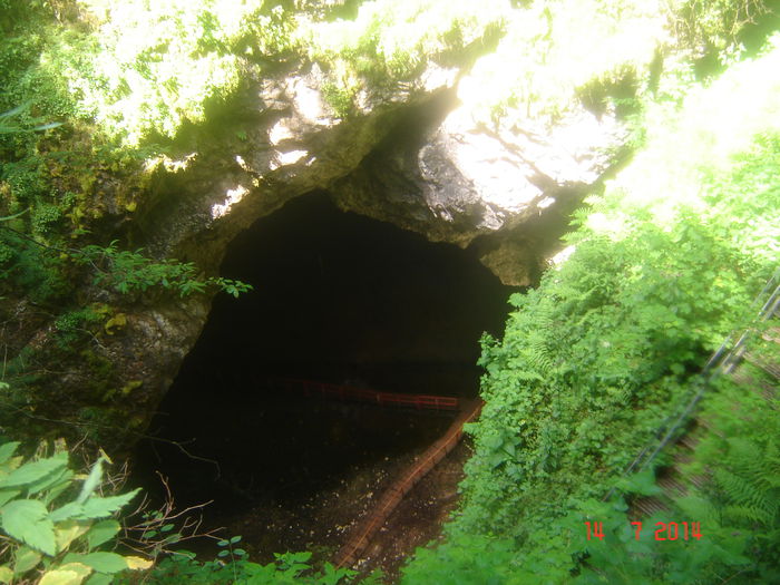 DSC00875