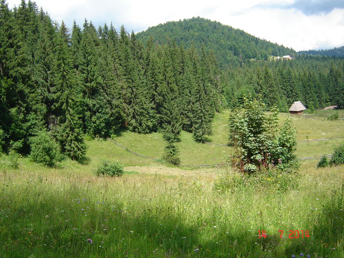 DSC00883