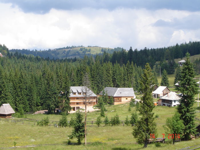 DSC00884
