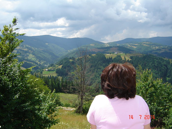 DSC00903