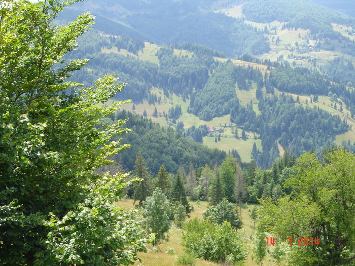 DSC00905