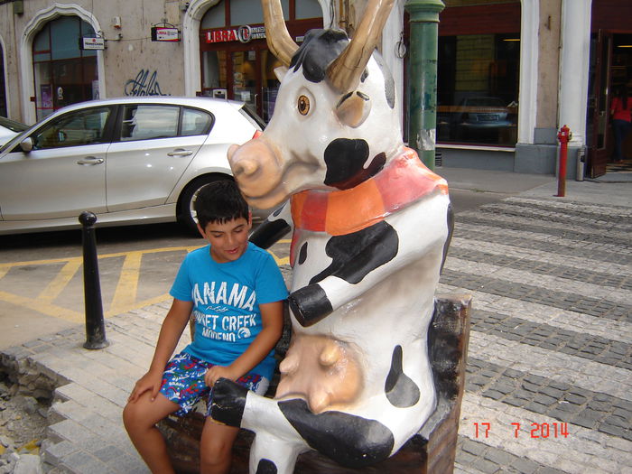 DSC00920