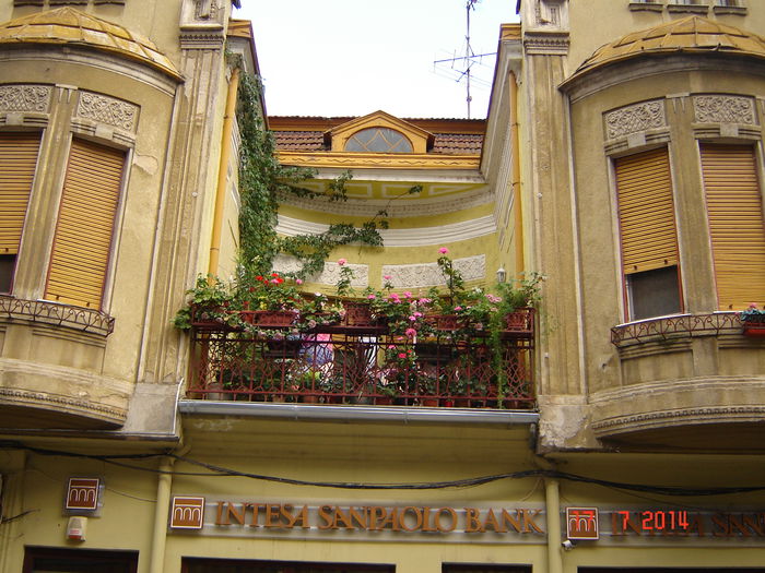 DSC00924
