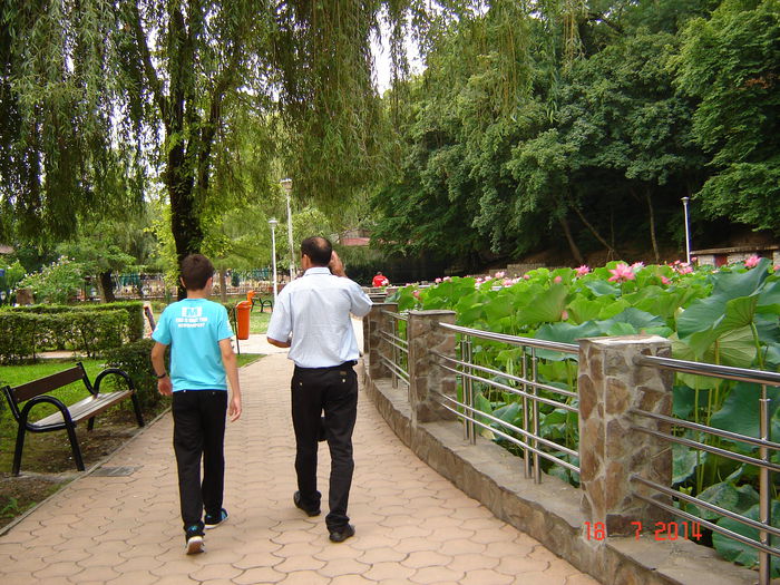 DSC00964