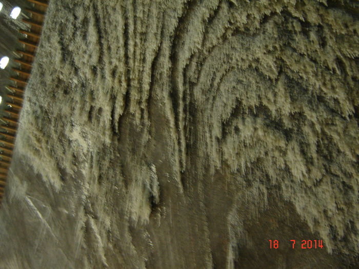 DSC00972