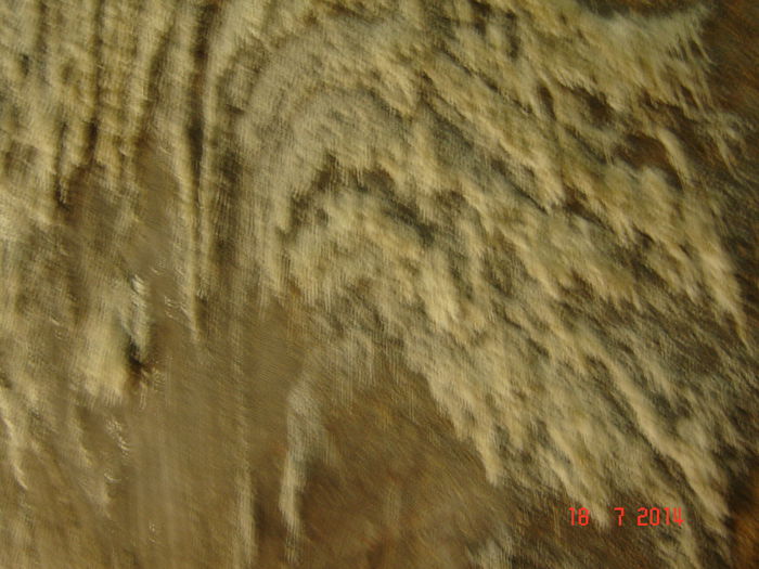 DSC00973