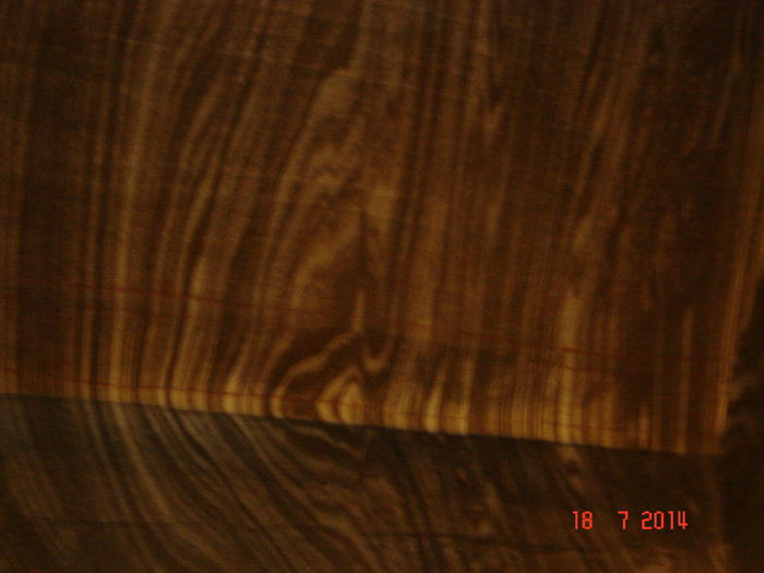 DSC00982 - CO CAMERA 2014